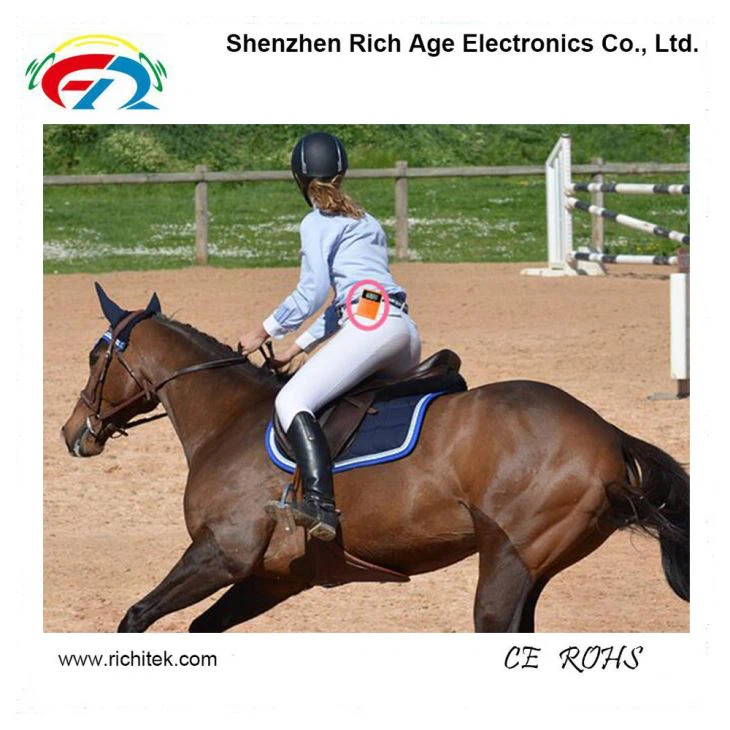 Horse Riding Teaching With Wireless Sound Transmission System(图1)